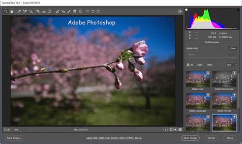 Kelebihan Dan Kekurangan Photoshop